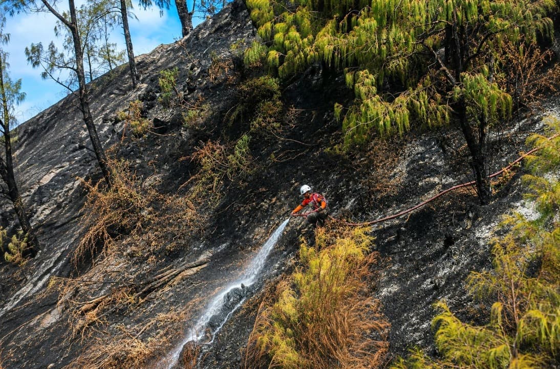 Karhutla Gunung Bromo Padam, Tim Gabungan Lanjutkan Sisir Potensi Bara dan Asap