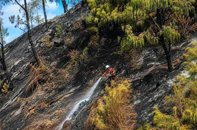 Karhutla Gunung Bromo Padam, Tim Gabungan Lanjutkan Sisir Potensi Bara dan Asap