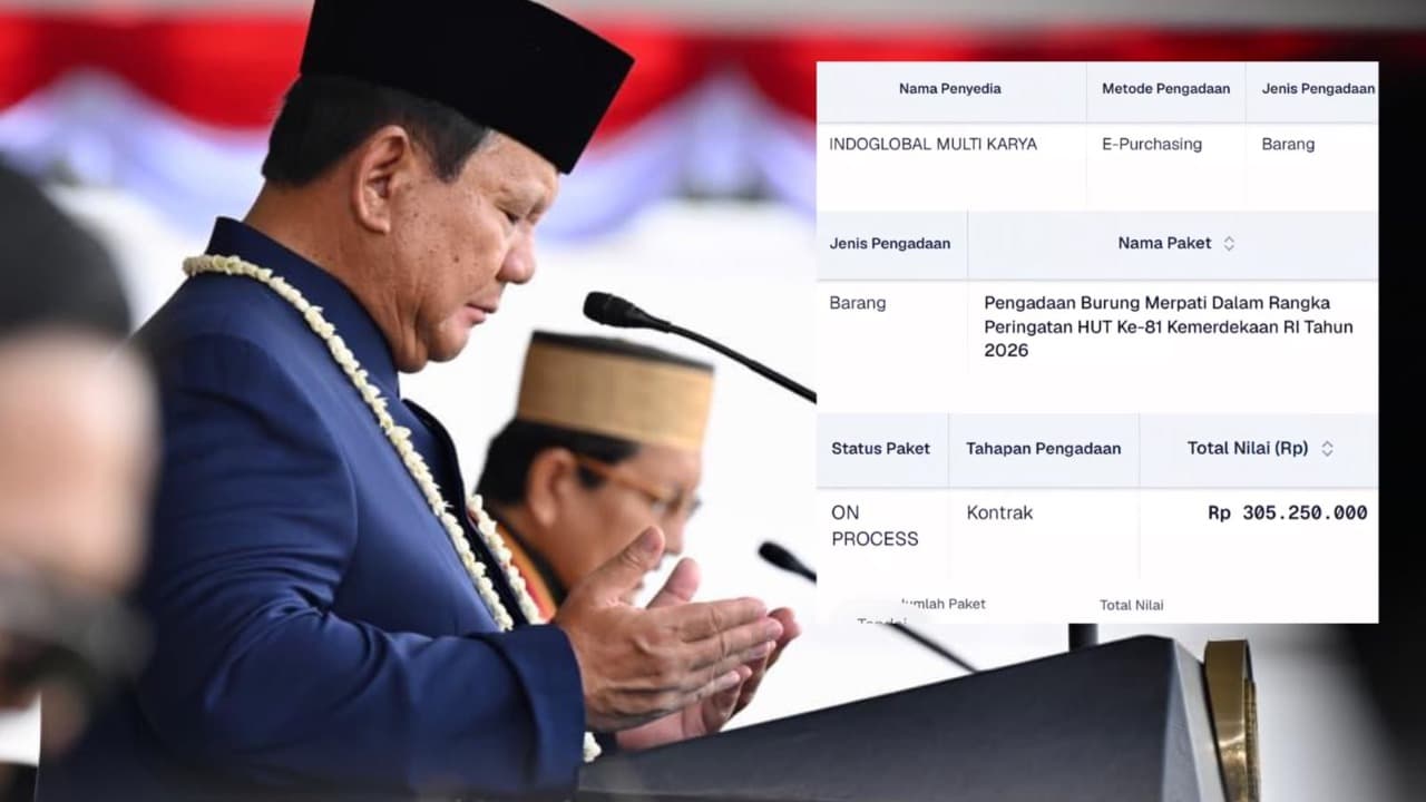 Anggaran Pengadaan Burung Merpati untuk HUT ke-81 RI Tembus Rp305 Juta