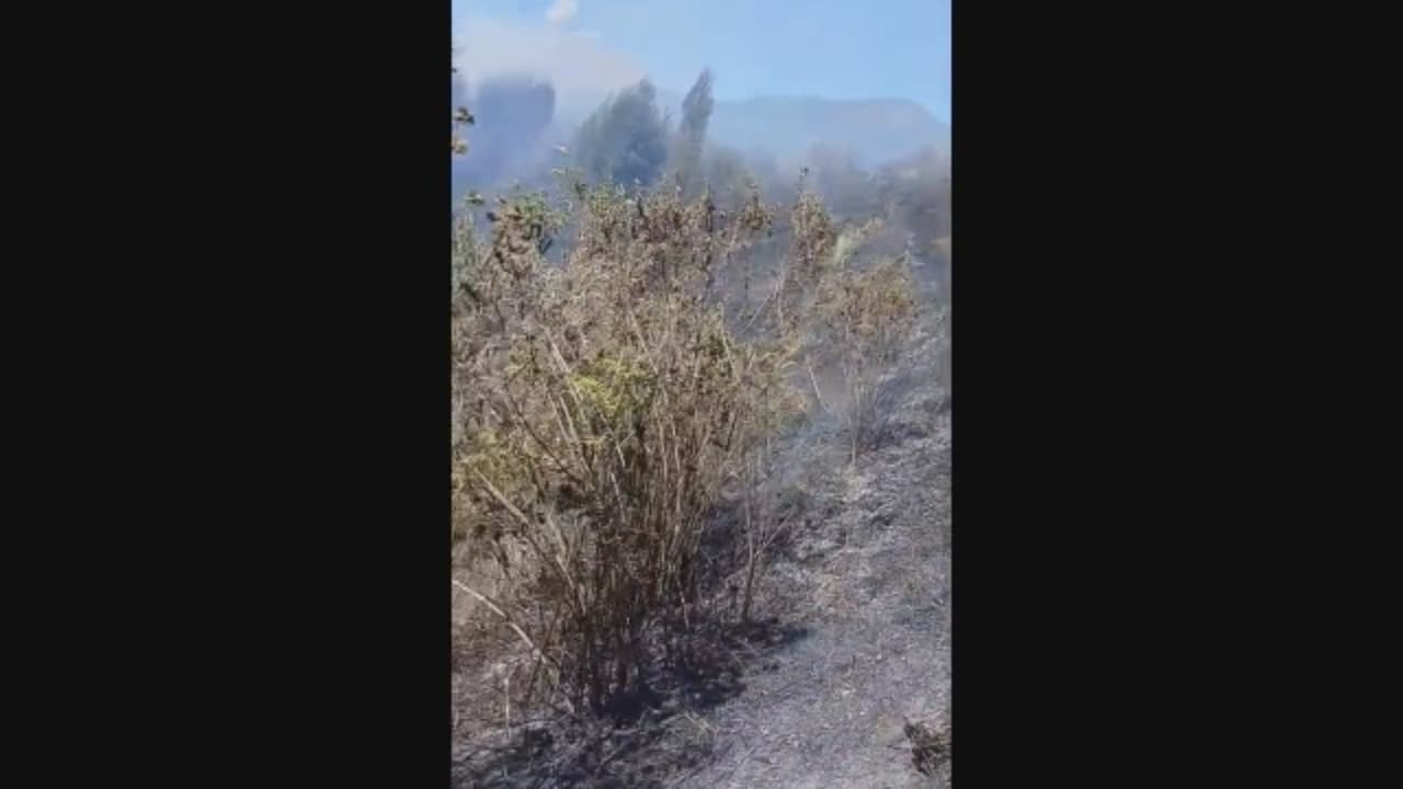 Kebakaran Susulan TNBTS Padam