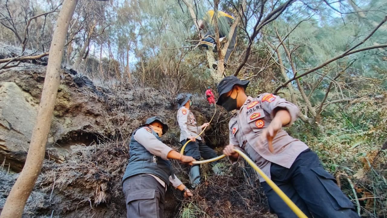 Karhutla Bromo Mengarah ke Penginapan, Tim Gabungan Bergerak Cepat Padamkan Api