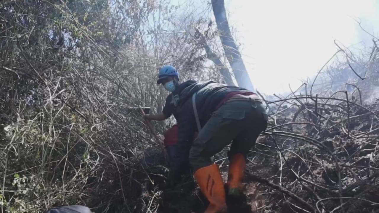 Kebakaran Hutan Semeru Capai 1887 Hektar