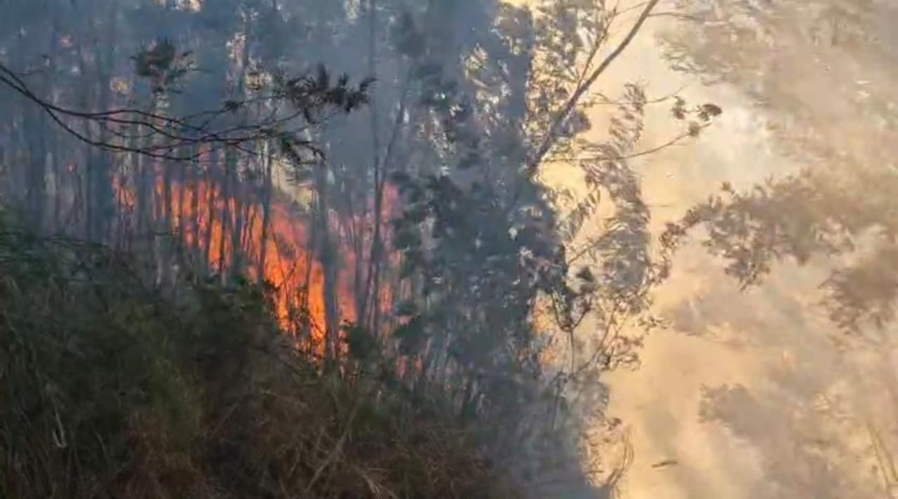 Kawah Ijen Ditutup Sementara karena Kebakaran Hutan