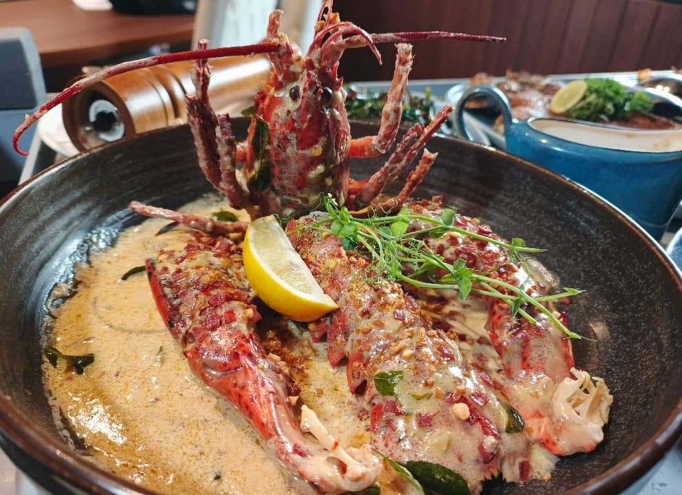 Kurnia Seafood Surabaya Hadirkan American Lobster, Maine Lobster Premium dari Amerika Utara