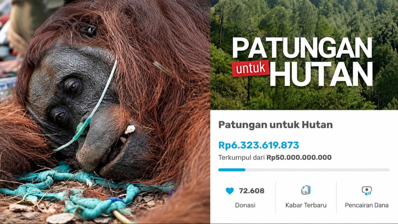 Ferry Irwandi Ajak Patungan untuk Hutan, Donasi Tembus Rp6,3 Miliar