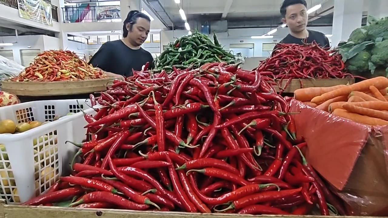 Sentuh Rp70 Ribu Per Kilogram, Harga Cabai Rawit Makin "Pedas"
