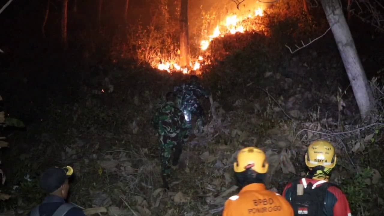Si Jago Merah Lahap Gunung Prongos, 5 Hektare Hutan Hangus