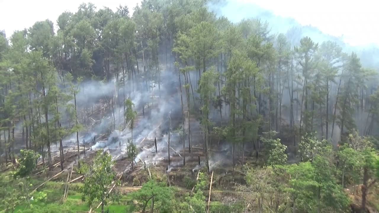 Hutan Pinus Kawasan Gunung Butak Ngawi Terbakar, Luas Diperkirakan 40 Hektare