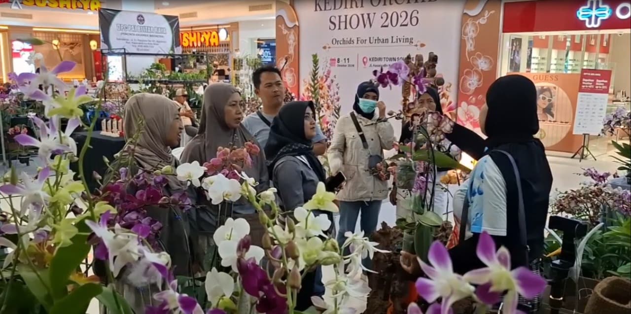 Pesona Bunga Sultan di Orchid Show 2026 Kota Kediri: Ada yang Berharga Ratusan Juta Rupiah