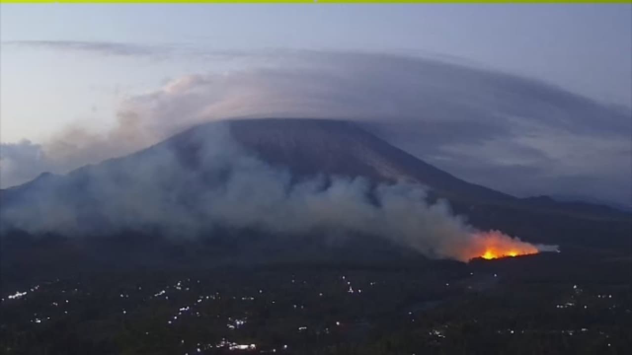 Hutan Pinus Lereng Semeru Terbakar
