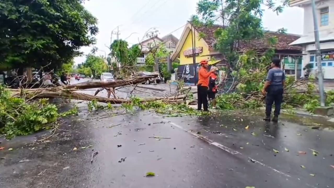 Hujan Disertai Angin Kencang Terjang Empat Kecamatan di Ngawi